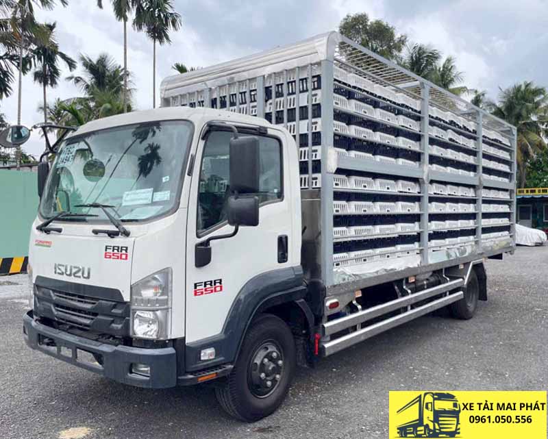 isuzu frr 650 chở gia cầm