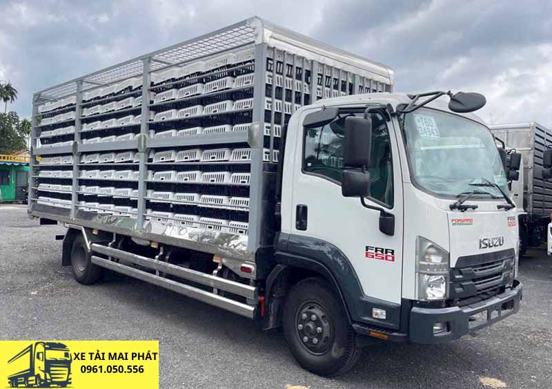 isuzu frr 650 chở gia cầm