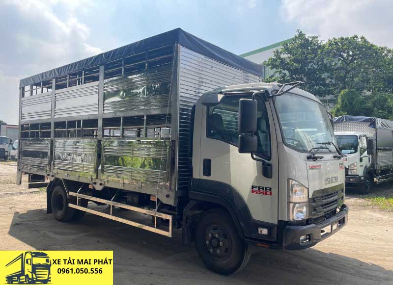 isuzu frr 650 chở gia súc