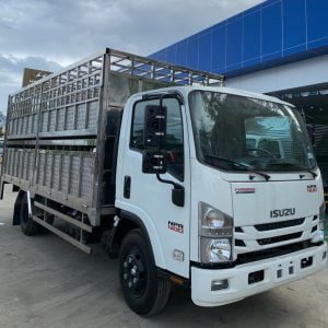 Xe tải Isuzu NPR 400 3.5 tấn chở gia súc