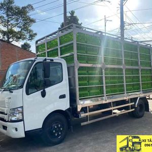 hino 300 3.5 tấn chở gia cầm