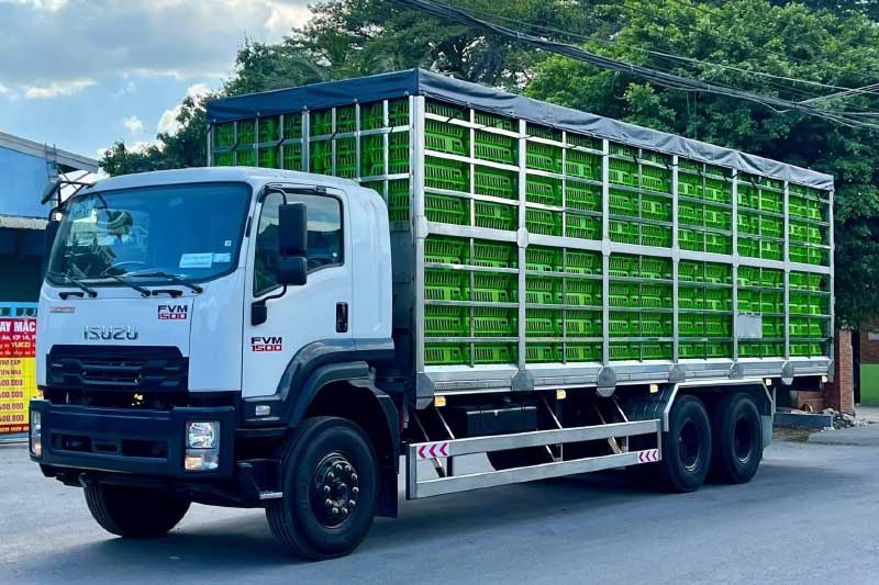 Isuzu FVM 1500 Thùng Gia Cầm 1 isuzu fvm 1500 thùng gia cầm
