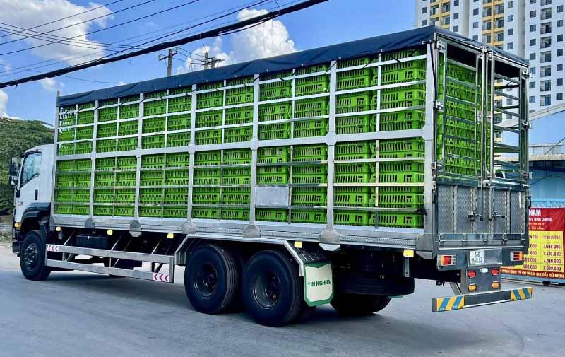 Isuzu FVM 1500 Thùng Gia Cầm 2 isuzu fvm 1500 thùng gia cầm